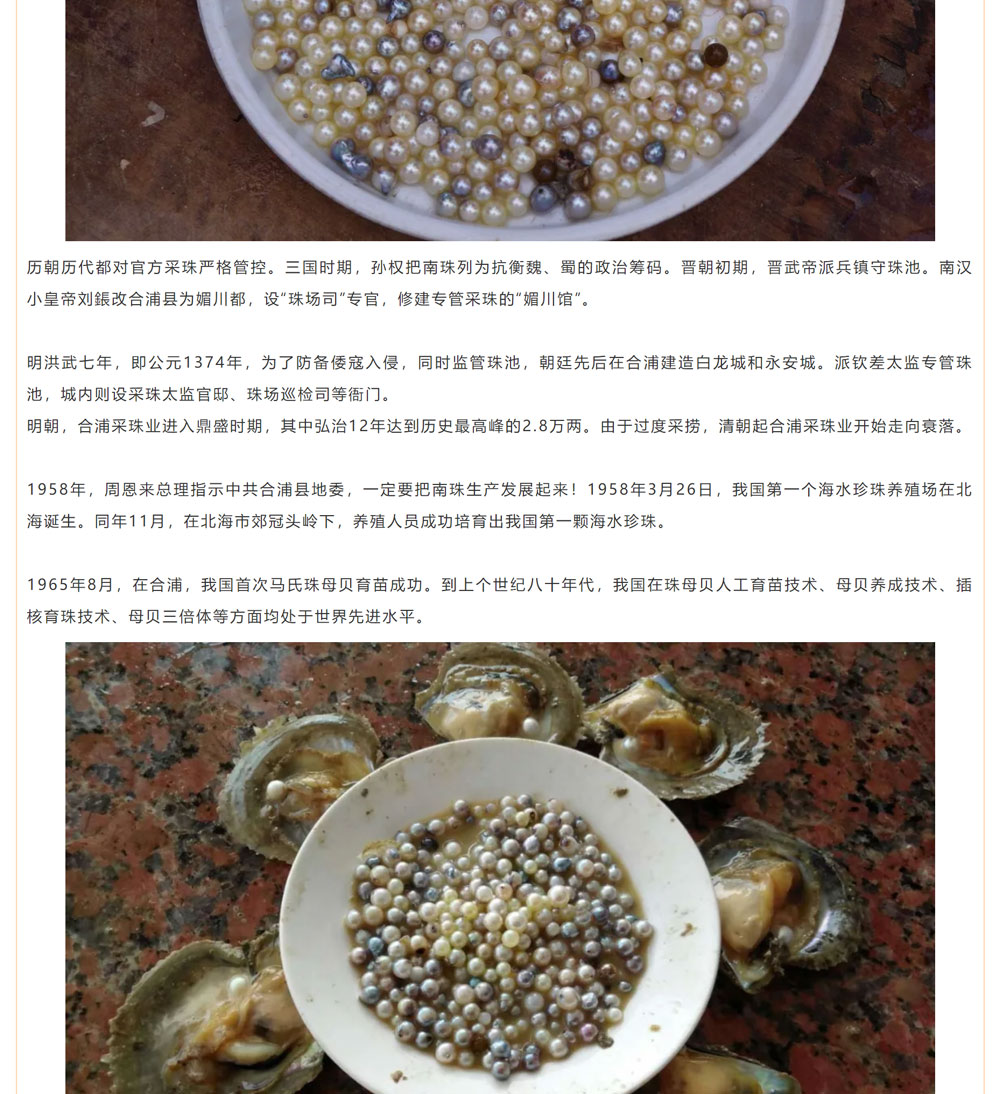 古老南珠，綻放異彩